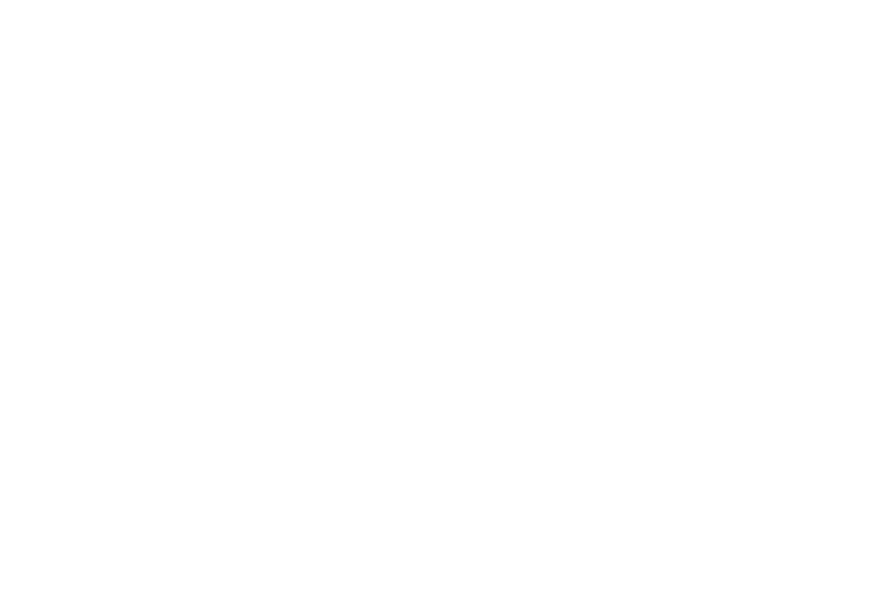 Pyramid POS